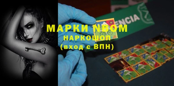 гидра Каменногорск
