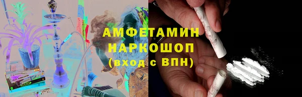 гидра Каменногорск