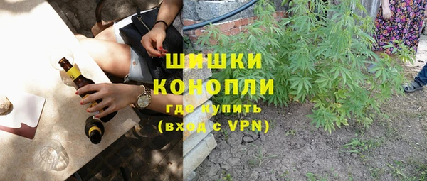 винт Инсар