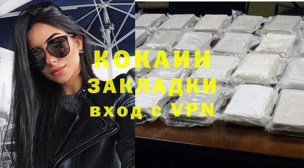 гидра Каменногорск