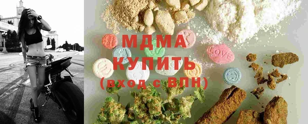 гидра Каменногорск