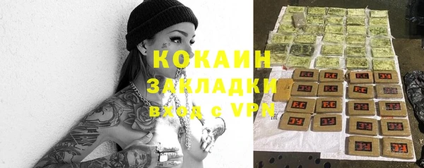 гидра Каменногорск