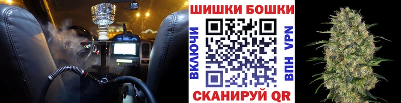Каннабис SATIVA & INDICA  Шахунья 